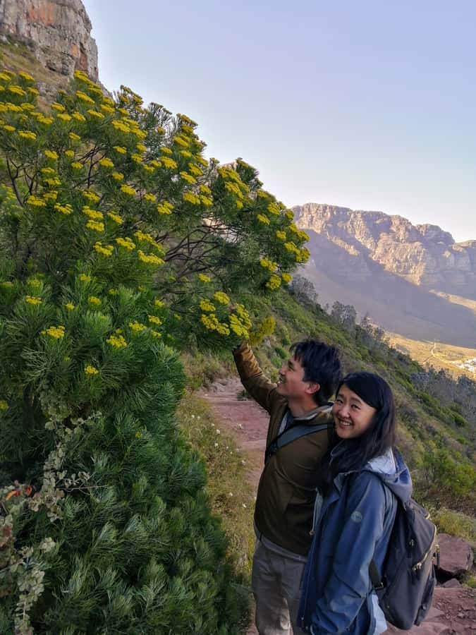 Guided Table Mountain Hike - Kasteelspoort Scenic Route - Silent walking meditation: a simple reset you will notice on the descent