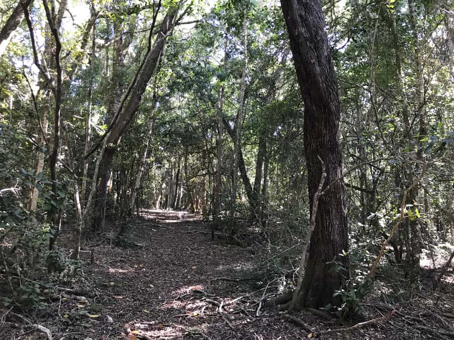 Guided Wildlife Tour and Forest Walk with Lunch Platter - Arriving at Tenikwa Wildlife Rehabilitation and Awareness Centre