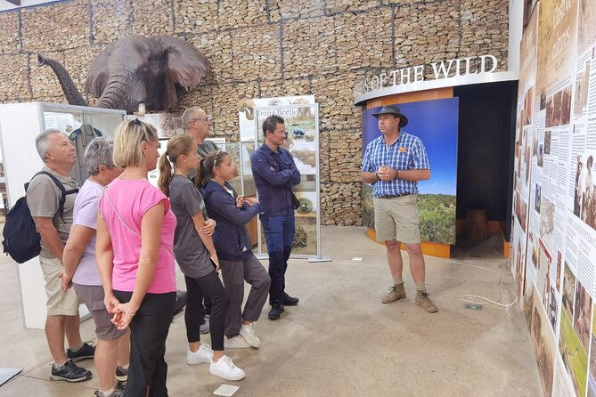Half-Day Addo Elephant National Park - Who should book this Addo half-day, and who might want more time