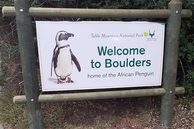 Half day African Penguin Tour - Small-group comfort with pickup that keeps the day stress-free