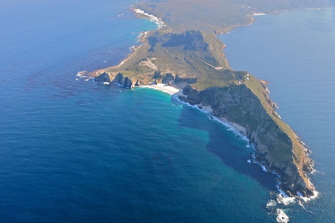 Half day Cape Point Sightseeing Tour with Penguins from Cape Town - Pace check: what 4.5 hours means in real life