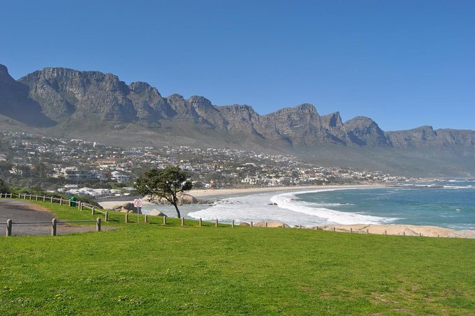 Half day Cape Point Sightseeing Tour with Penguins from Cape Town - What you get for $86.27, and what you pay extra