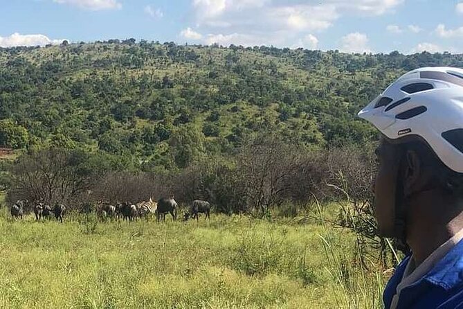 Half Day E-Biking with Wildlife Watching in Pretoria - Groenkloof Nature Reserve start, timing, and getting there
