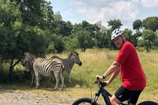 Half Day E-Biking with Wildlife Watching in Pretoria - Gravel jeep tracks, controlled effort, and views that pay off