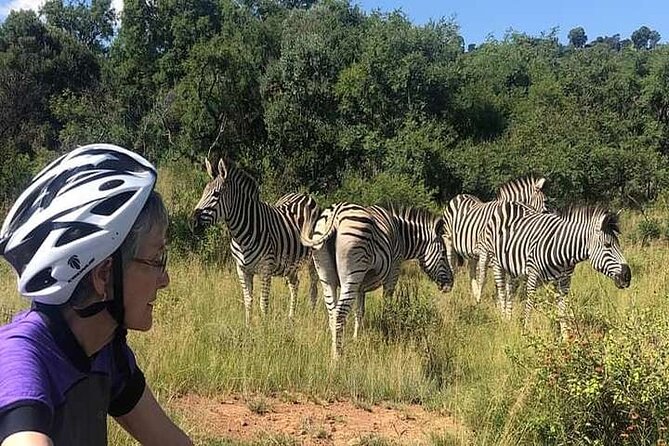 Half Day E-Biking with Wildlife Watching in Pretoria - Bike setup and pedal-assist practice that makes the ride easier