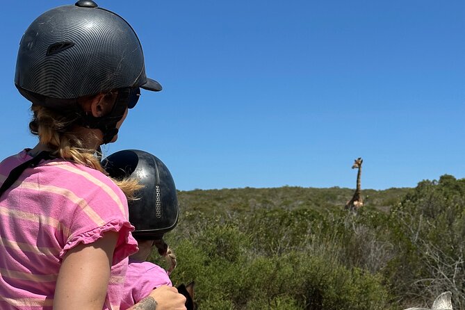 Half day Horse back safari - !Khwa ttu San Heritage Centre: Lunch and Cultural Tour Time
