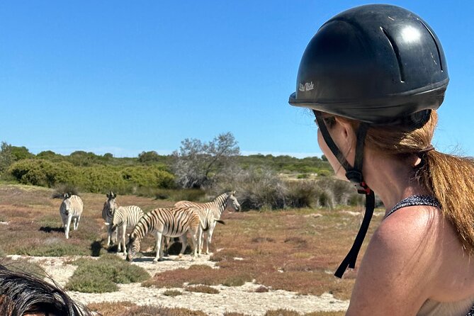 Half day Horse back safari - What’s Included, What to Bring, and How the 4 Hours Are Managed