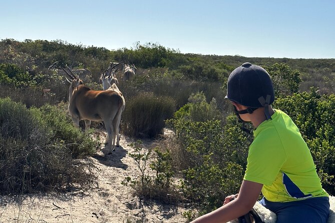 Half day Horse back safari - Practical Tips: Gate Codes, No Cell Reception, and Day-of Success