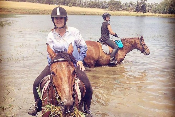 Half Day Horseback Wine Tour - Why Riding With Wine Stops Feels Like the Right Winelands Day