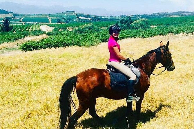 Half Day Horseback Wine Tour - Private and Small Group: Why Max 4 Changes the Whole Day
