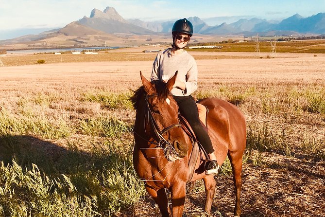 Half Day Horseback Wine Tour - Getting Started at Ubuntu Horse Trails, Vredenheim, at 10:00
