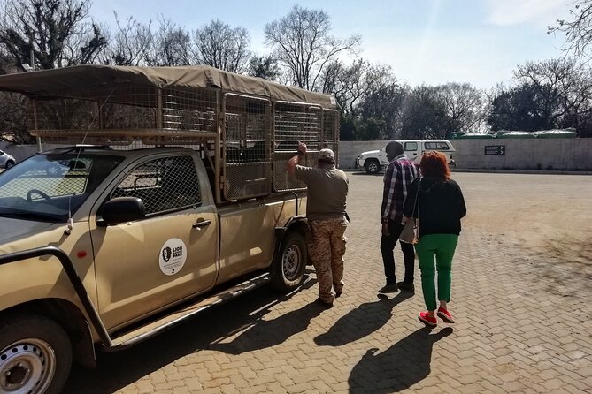 Half Day Lion and Safari Park Tour - A Half-Day Safari From Johannesburg or Pretoria Without a Rental Car