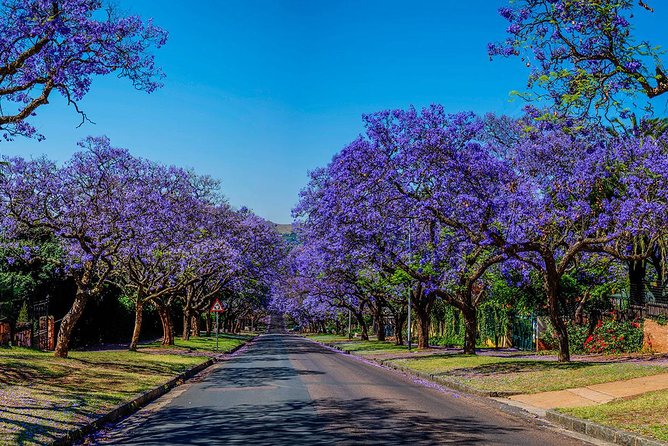 Half Day Pretoria City Tour from Johannesburg or Pretoria - Stop 1: Pretoria orientation and Church Square architecture
