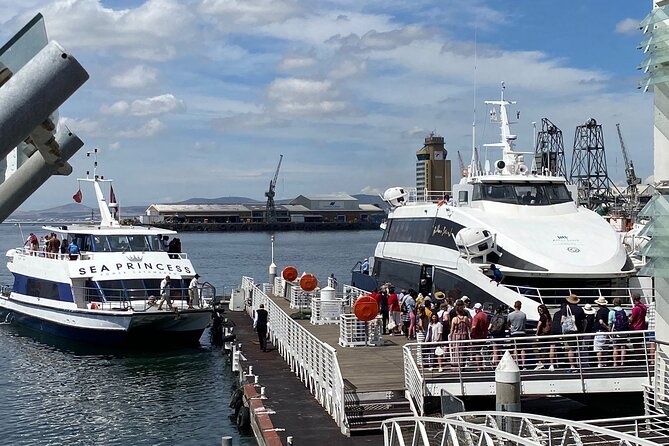 "Half-Day Robben Island Tour with Customizable Options Included - Why Robben Island matters more than the words on the sign
