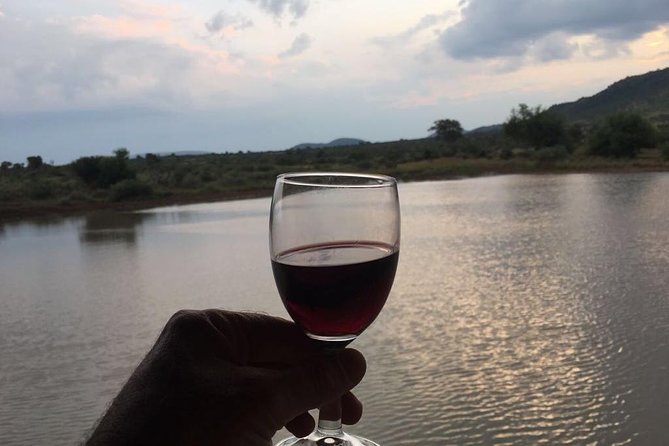 Half day safari from johannesburg - The 3-Hour Dinokeng Game Reserve Drive: Expect Action, Not Guarantees