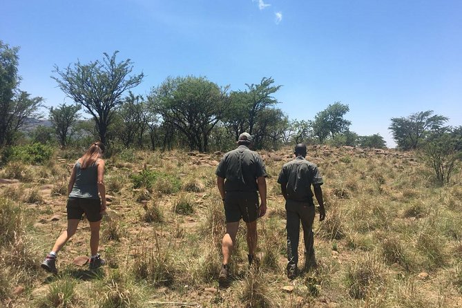 Half Day Safari Tour from Johannesburg - Why Dinokeng Works for a Half Day Safari From Johannesburg