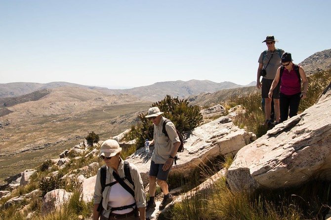 Half-Day Swartberg Pass PRIVATE Tour (including lunch & transfer - Oudtshoorn) - From Oudtshoorn to the Pass: A Half-Day That Keeps Its Promise
