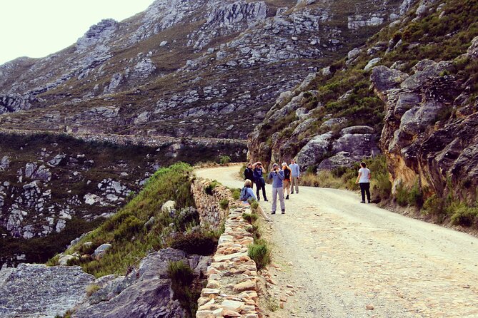 Half-Day Swartberg Pass PRIVATE Tour (including lunch & transfer - Oudtshoorn) - Price and Value: Is This $155.52 Per Person Worth It?