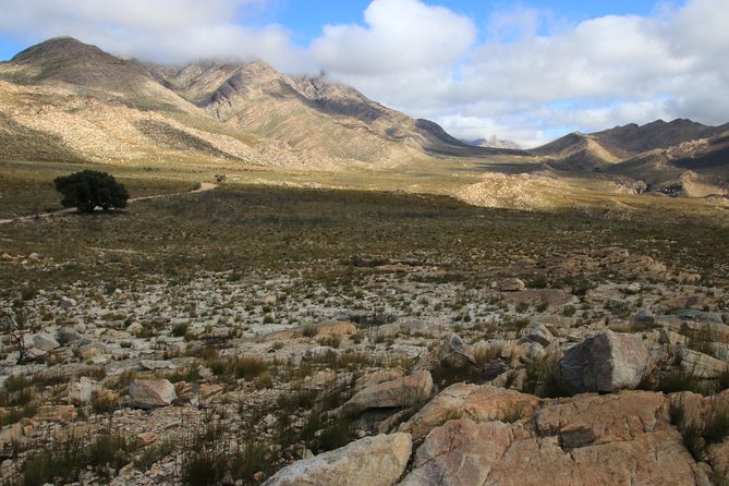 Half-Day Swartberg Pass PRIVATE Tour (including lunch & transfer - Oudtshoorn) - Who Should Book This Private Swartberg Pass Tour