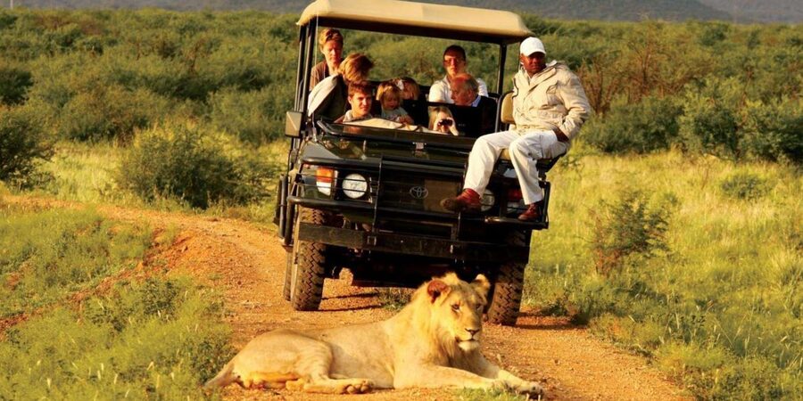 Half Day Tala Game Reserve & Natal Lion Park from Durban - Final call: should you book it?