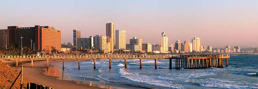 Half Day Tala Game Reserve & Natal Lion Park from Durban - What you learn, beyond the animal spotting