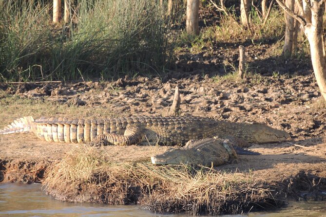 Half Day Tour in iSimangaliso Wetland Park - What to do with your time after the cruise: St Lucia markets and the boardwalk