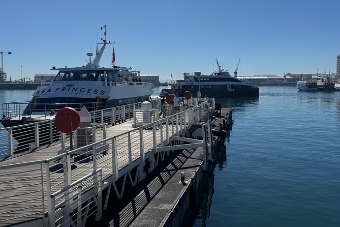 Half-Day Tour to Robben Island with Reserved Tickets. - Getting to Nelson Mandela Gateway and the 30-minute boarding rule