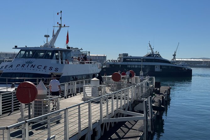 Half-Day Tour to Robben Island with Reserved Tickets. - The boat crossing and the island bus segment: how the day is paced