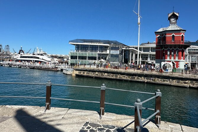 Half-Day Tour to Robben Island with Reserved Tickets. - African penguins on Robben Island: the surprise that balances the heaviness