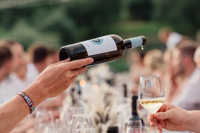 Half Day Wine Tour from Cape Town - A Half-Day Winelands Reset from Cape Town, with Real Context