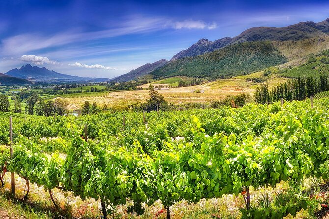 Half Day Wine Tour from Cape Town - Stop 1 at Fairview Wine and Cheese: Where the Pairing Makes Sense