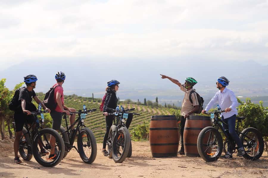 Half-Day Winelands E-Bike Tour with Wine Tasting - Why Riding the Winelands by E-bike Feels Like the Best Compromise