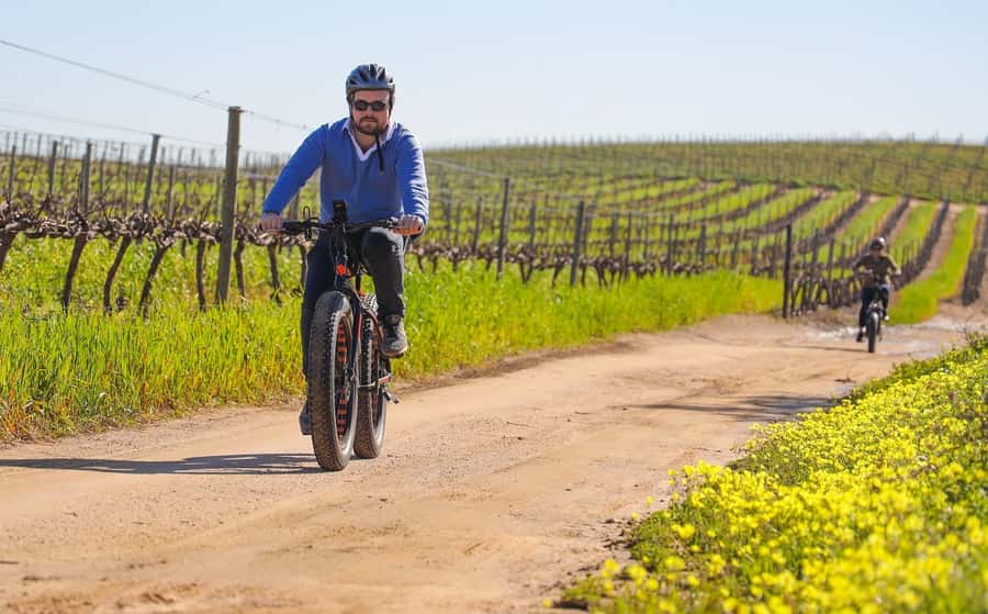 Half-Day Winelands E-Bike Tour with Wine Tasting - The Vineyard Ride: Hills, Views, and How Much Effort to Expect