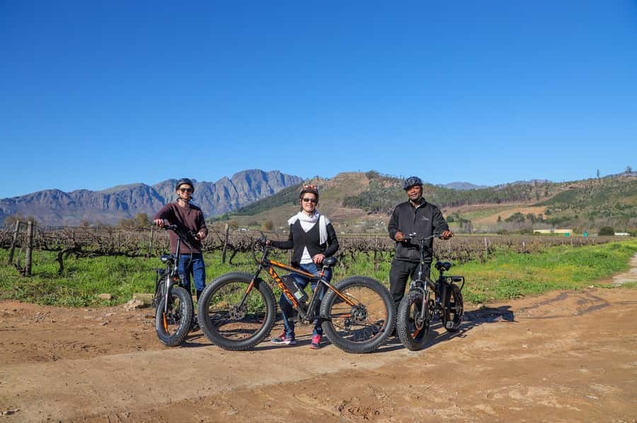 Half-Day Winelands E-Bike Tour with Wine Tasting - Your Guide Makes the Whole Day: Regan, Moses, and the Human Touch