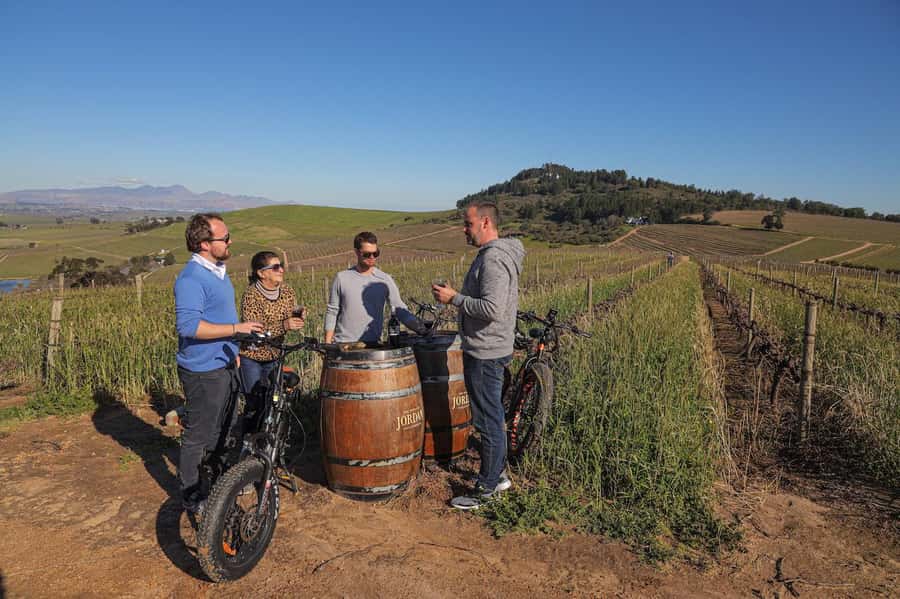 Half-Day Winelands E-Bike Tour with Wine Tasting - Who Should Book This E-bike Winelands Tour (and Who Should Not)