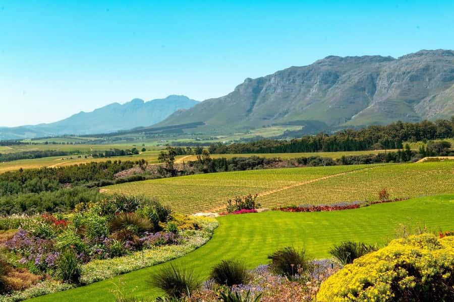 Half-Day Winelands E-Bike Tour with Wine Tasting - Getting There From Cape Town: Pickup Choices and Van Time