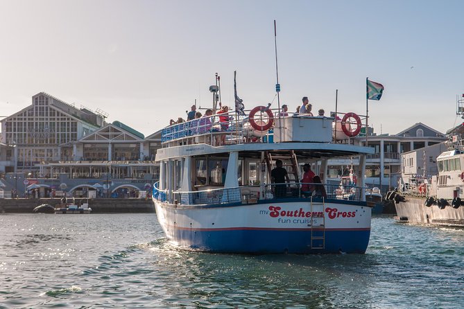 Half Hour Seal and Harbour Cruise from Cape Town - Why a 30 minute seal cruise is a smart Cape Town starter