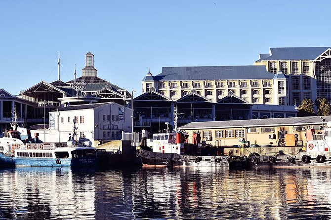 Half Hour Seal and Harbour Cruise from Cape Town - V&A Waterfront views you can actually use for planning
