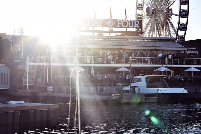 Half Hour Seal and Harbour Cruise from Cape Town - How long is long enough? Timing for a 30 minute cruise