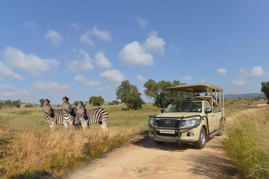 Hartbeespoort: Lion and Safari Park Tour - Key Things I’d Prioritize Before You Book