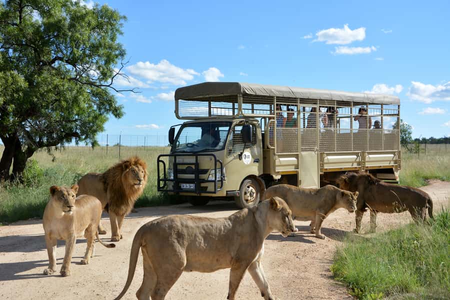 Hartbeespoort: Predator Safari with a Guide - Entering Lion and Safari Park: where your safari starts