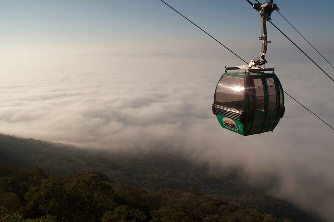 Harties Cableway Experience Ticket - Staff and Service: Why It Matters More Than You Think
