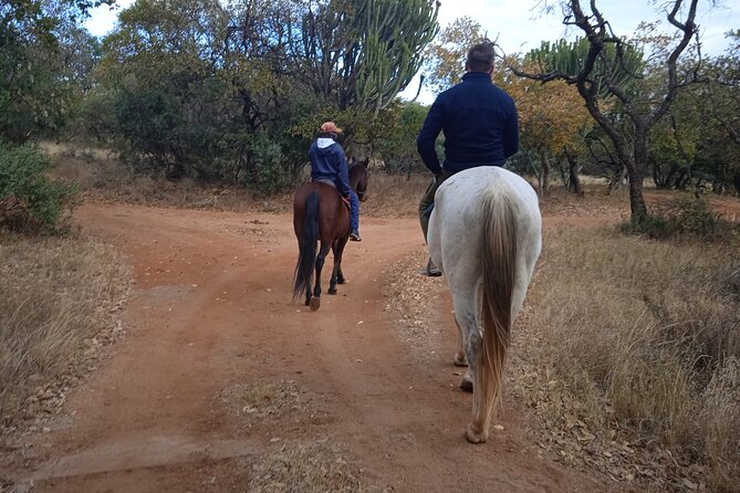 Harties Horse Trail Safari Half day - Key Highlights Worth Booking For