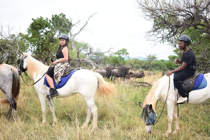 Harties Horse Trail Safari Half day - The Riding Reality: No Prior Experience Needed, But Expect Effort