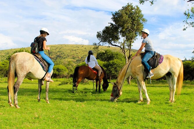 Harties Horse Trail Safari Half day - Who This Horse Trail Safari Is Best For