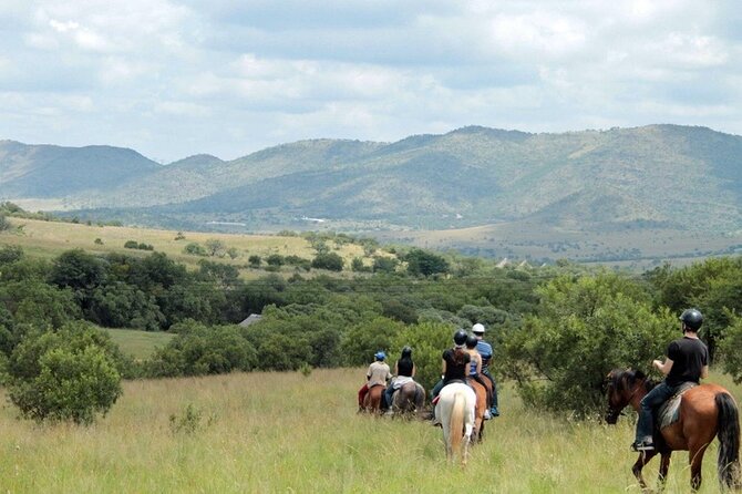 Harties Horse Trail Safari Half day - Your 4-Hour Plan: Pickup, Training, and the 2-Hour Ride