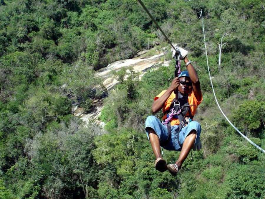 Hazyview: 2.5-Hour Sabie River Zip Line Experience - Step-by-Step: What Happens During the 2.5 Hours in the Trees