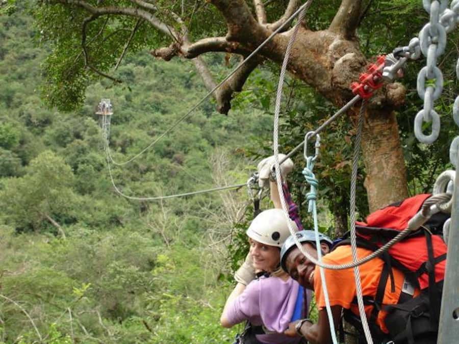 Hazyview: 2.5-Hour Sabie River Zip Line Experience - Zip Line Specs That Matter (Cable Lengths, Platforms, Total Distance)