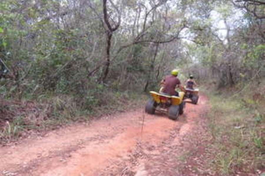 Hazyview : 30 minutes Quad Ride - Where You Ride: Sabie River Trails, Plantation Roads, and Natural Forest