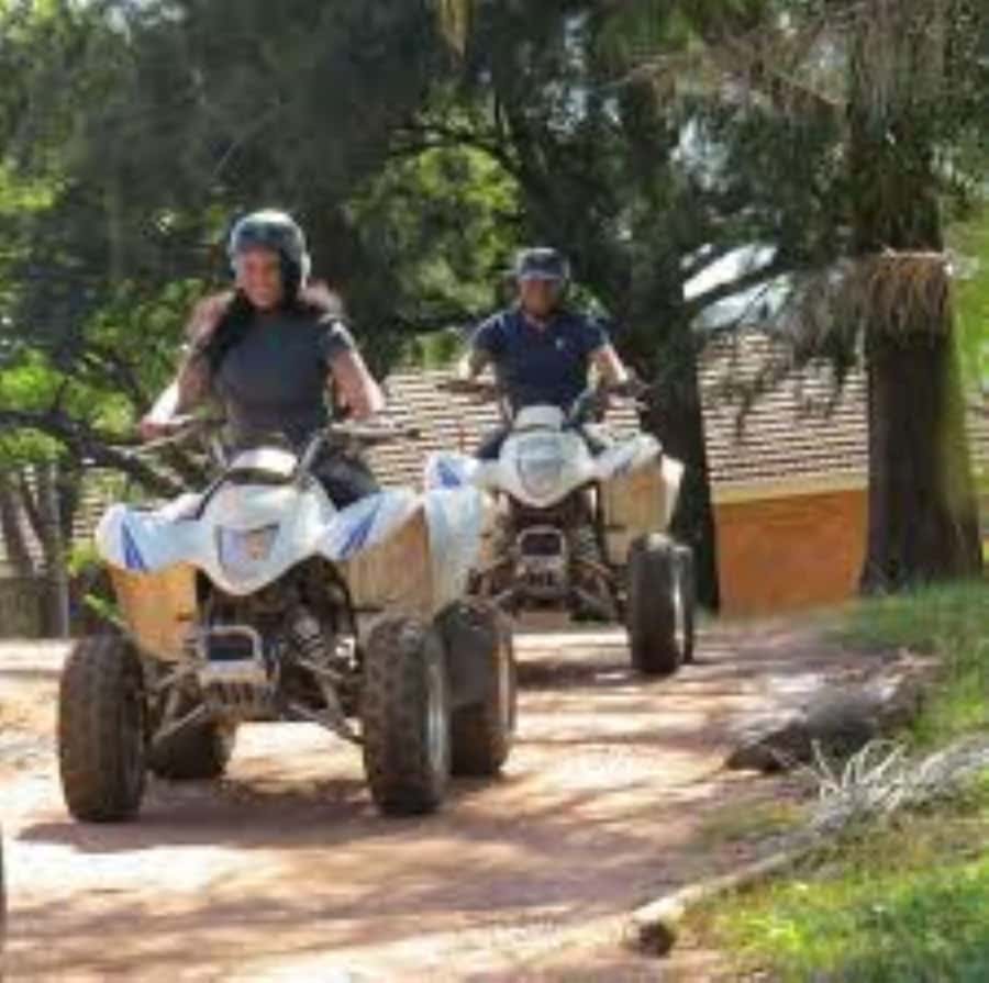 Hazyview: Guided Macadamia Plantation and Forest Quad Safari - Key things you should notice before you go